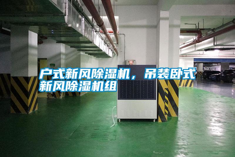 戶式新風(fēng)除濕機(jī)，吊裝臥式新風(fēng)除濕機(jī)組