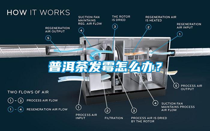 普洱茶發(fā)霉怎么辦？