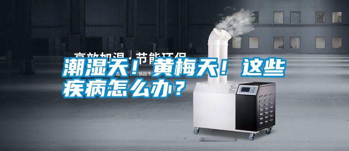 潮濕天！黃梅天！這些疾病怎么辦？