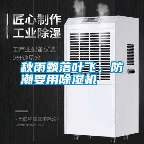 秋雨飄落葉飛，防潮要用除濕機(jī)