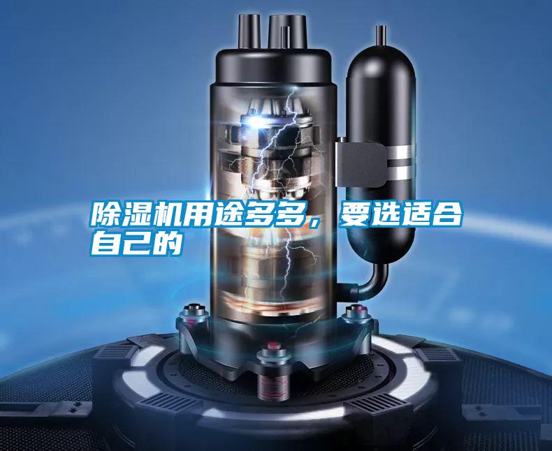 除濕機用途多多，要選適合自己的