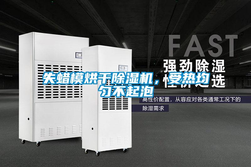失蠟模烘干除濕機，受熱均勻不起泡