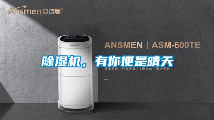 除濕機(jī)，有你便是晴天