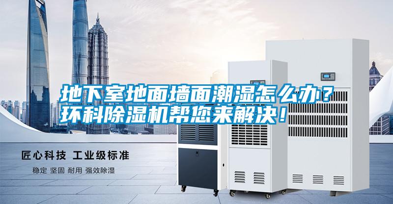 地下室地面墻面潮濕怎么辦？環(huán)科除濕機(jī)幫您來解決！