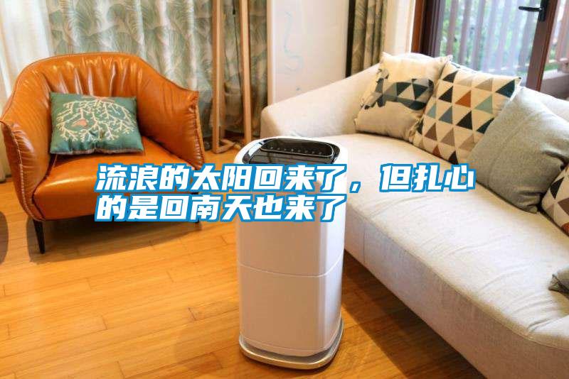 流浪的太陽回來了，但扎心的是回南天也來了