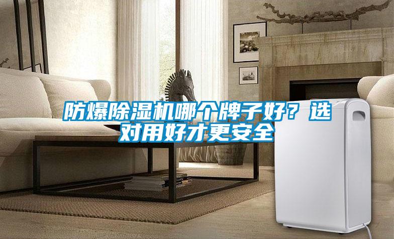防爆除濕機(jī)哪個(gè)牌子好？選對用好才更安全