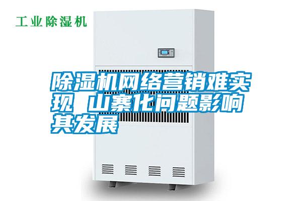 除濕機(jī)網(wǎng)絡(luò)營銷難實(shí)現(xiàn) 山寨化問題影響其發(fā)展