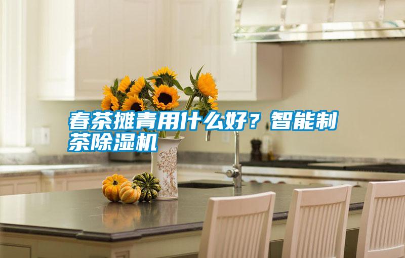 春茶攤青用什么好？智能制茶除濕機