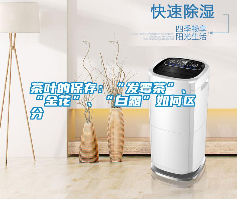 茶葉的保存：“發(fā)霉茶”、“金花”、“白霜”如何區(qū)分