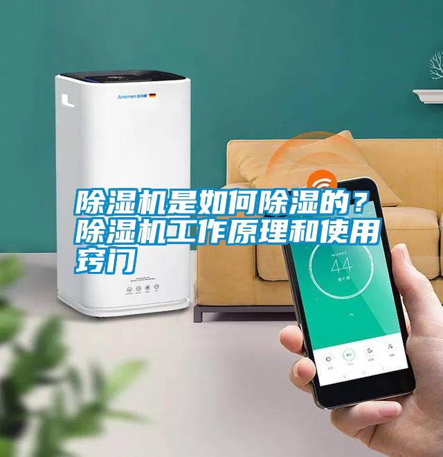 除濕機是如何除濕的？除濕機工作原理和使用竅門