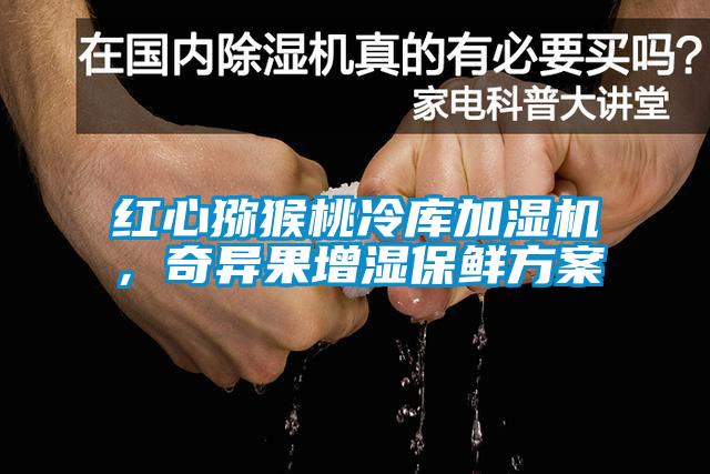 紅心獼猴桃冷庫加濕機(jī)，奇異果增濕保鮮方案