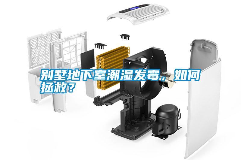 別墅地下室潮濕發(fā)霉，如何拯救？