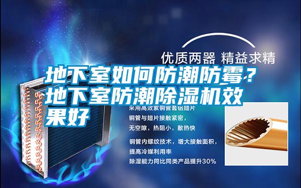 地下室如何防潮防霉？地下室防潮除濕機(jī)效果好