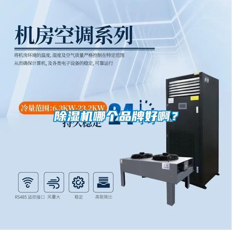 除濕機(jī)哪個(gè)品牌好?。?></div>
								<div   id=