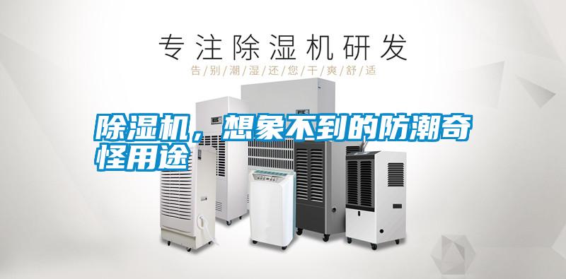 除濕機(jī)，想象不到的防潮奇怪用途