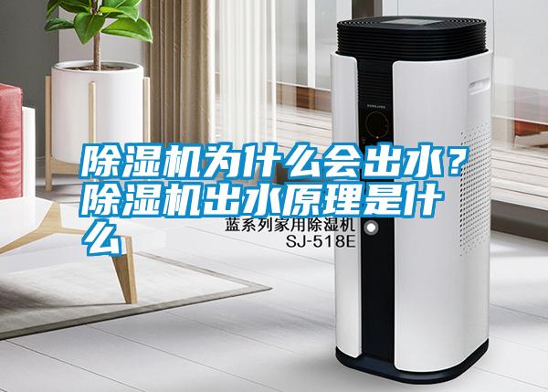 除濕機(jī)為什么會(huì)出水？除濕機(jī)出水原理是什么