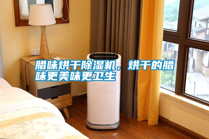 臘味烘干除濕機(jī)，烘干的臘味更美味更衛(wèi)生