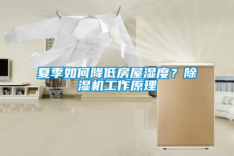 夏季如何降低房屋濕度？除濕機(jī)工作原理