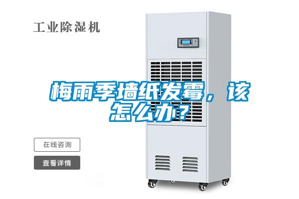 梅雨季墻紙發(fā)霉，該怎么辦？