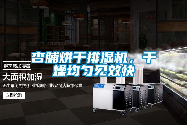 杏脯烘干排濕機，干燥均勻見效快