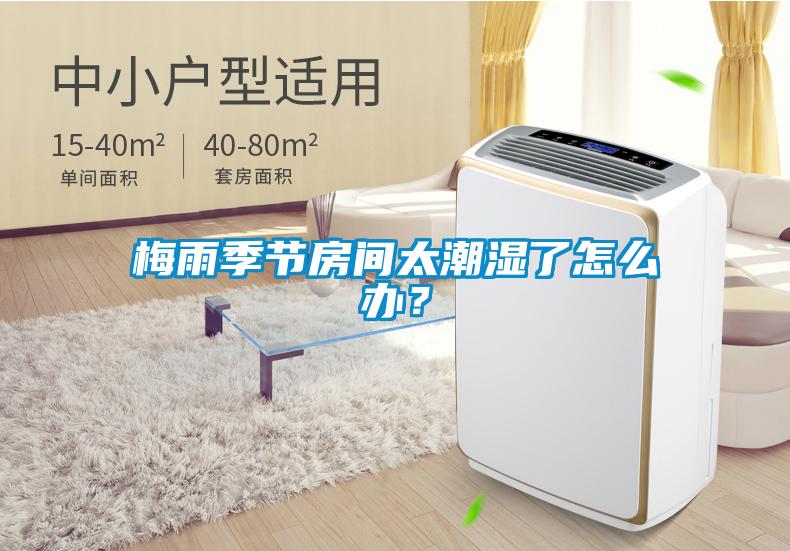 梅雨季節(jié)房間太潮濕了怎么辦？