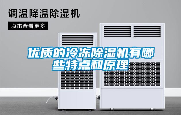 優(yōu)質(zhì)的冷凍除濕機有哪些特點和原理