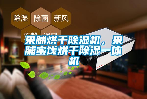 果脯烘干除濕機，果脯蜜餞烘干除濕一體機