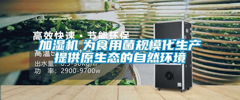 加濕機(jī)　為食用菌規(guī)?；a(chǎn)提供原生態(tài)的自然環(huán)境