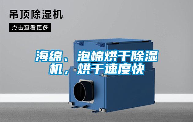 海綿、泡棉烘干除濕機(jī)，烘干速度快