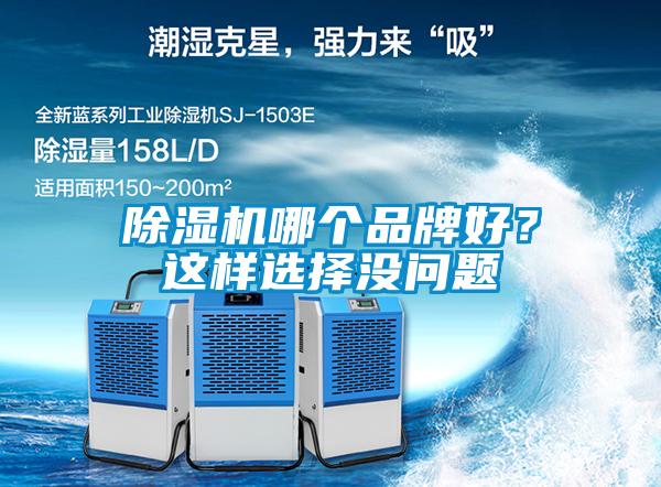 除濕機(jī)哪個品牌好？這樣選擇沒問題