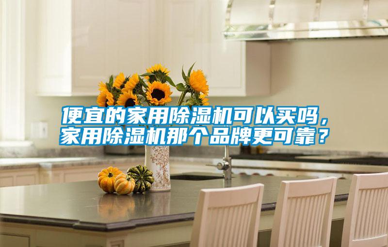 便宜的家用除濕機可以買嗎，家用除濕機那個品牌更可靠？