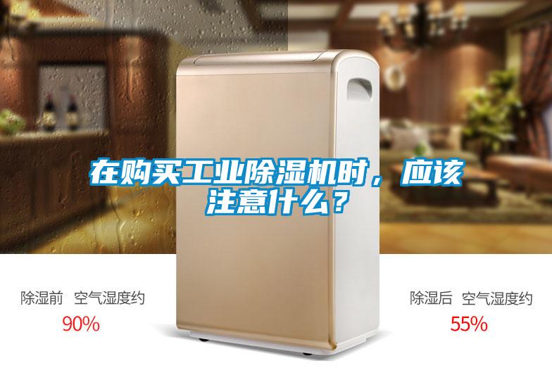在購(gòu)買工業(yè)除濕機(jī)時(shí)，應(yīng)該注意什么？