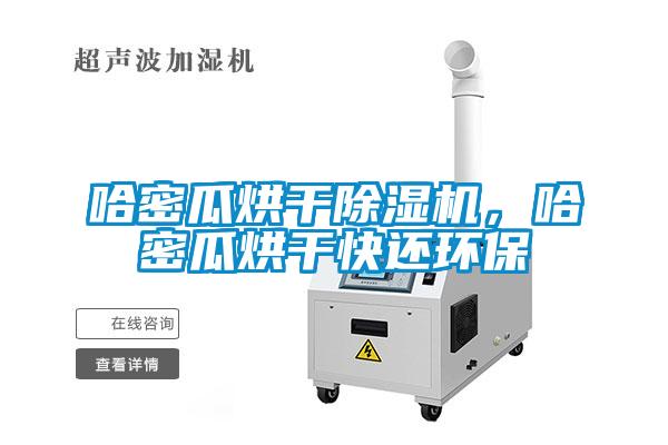 哈密瓜烘干除濕機(jī)，哈密瓜烘干快還環(huán)保