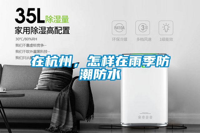 在杭州，怎樣在雨季防潮防水