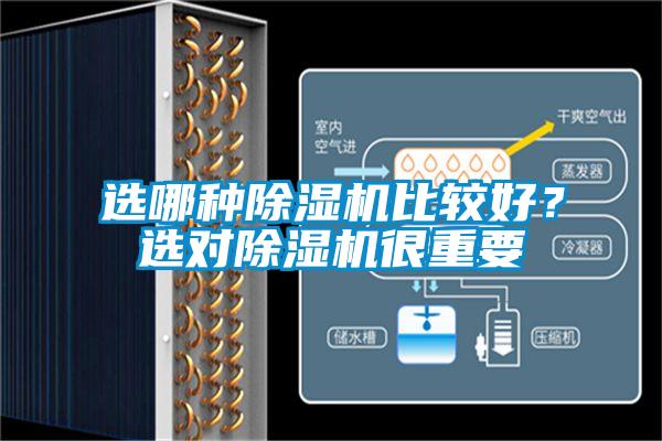 選哪種除濕機(jī)比較好？選對除濕機(jī)很重要