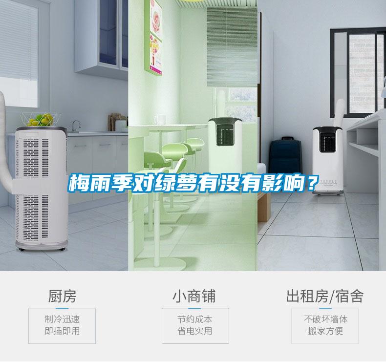梅雨季對(duì)綠蘿有沒(méi)有影響？