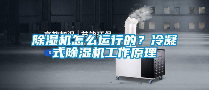 除濕機怎么運行的？冷凝式除濕機工作原理
