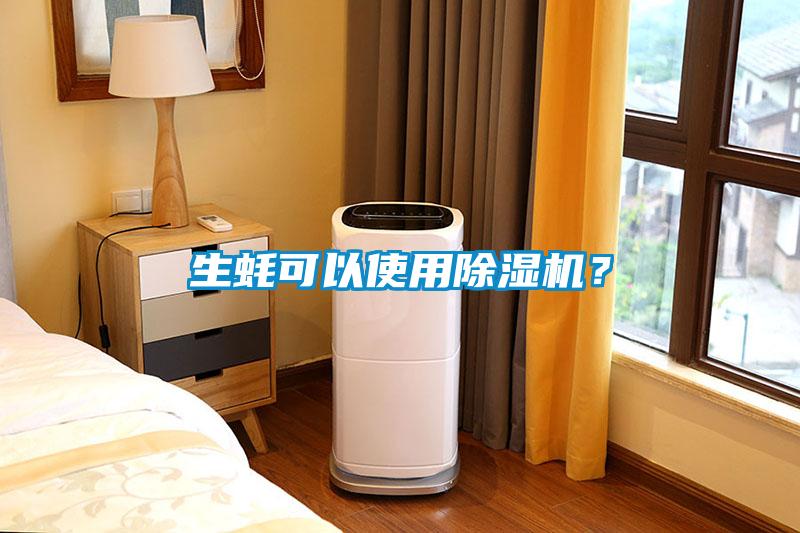 生蠔可以使用除濕機？