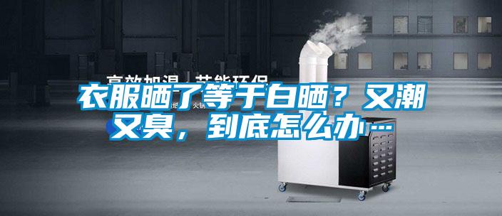 衣服曬了等于白曬？又潮又臭，到底怎么辦…