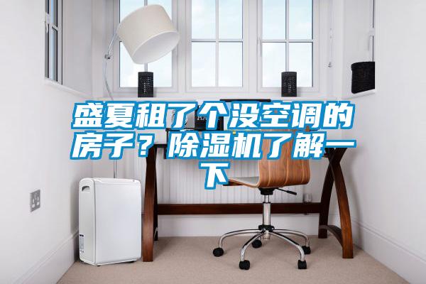 盛夏租了個(gè)沒(méi)空調(diào)的房子？除濕機(jī)了解一下