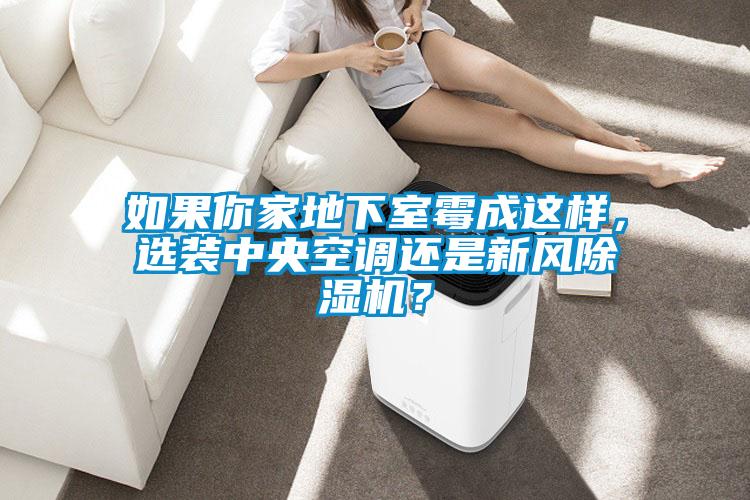 如果你家地下室霉成這樣，選裝中央空調(diào)還是新風(fēng)除濕機？