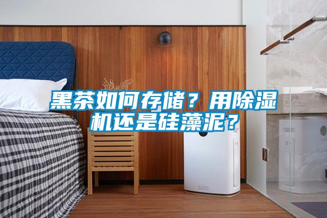 黑茶如何存儲(chǔ)？用除濕機(jī)還是硅藻泥？