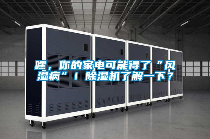 嘿，你的家電可能得了“風(fēng)濕病”！除濕機(jī)了解一下？