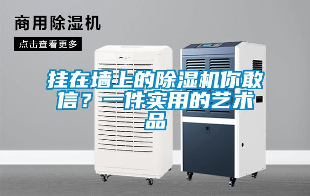 掛在墻上的除濕機你敢信？一件實用的藝術品