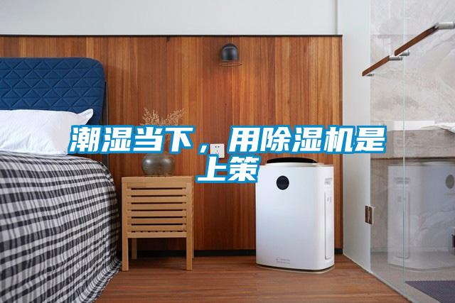 潮濕當下，用除濕機是上策