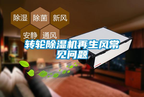轉(zhuǎn)輪除濕機再生風(fēng)常見問題