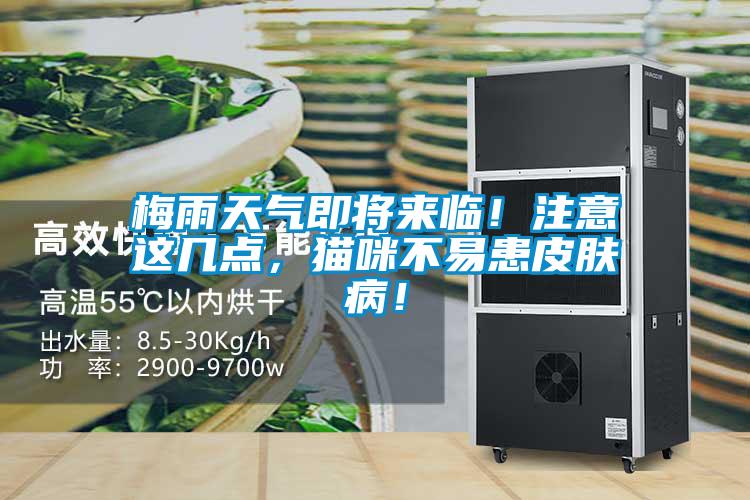 梅雨天氣即將來(lái)臨！注意這幾點(diǎn)，貓咪不易患皮膚??！