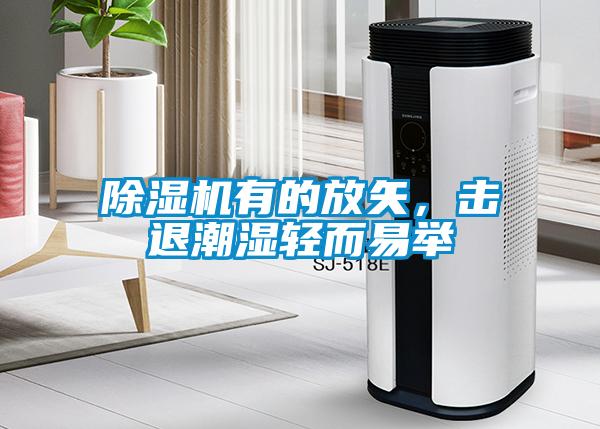除濕機有的放矢，擊退潮濕輕而易舉