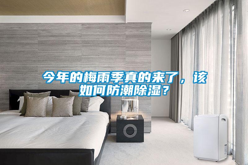 今年的梅雨季真的來(lái)了，該如何防潮除濕？