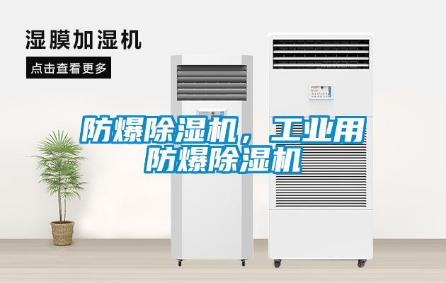 防爆除濕機，工業(yè)用防爆除濕機